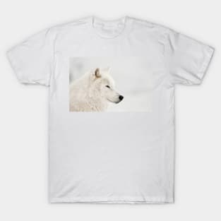 Arctic Wolf T-Shirt